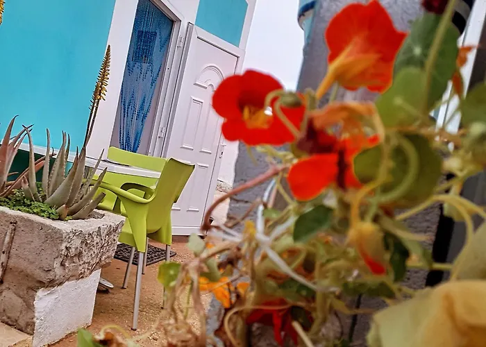 Appartement Estudio Dominicana In Gale With Garden And Parking Place Albufeira